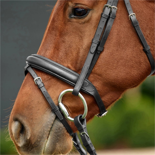2026 Dublin Padded Mono Crown Flash Bridle 1031498 - Black